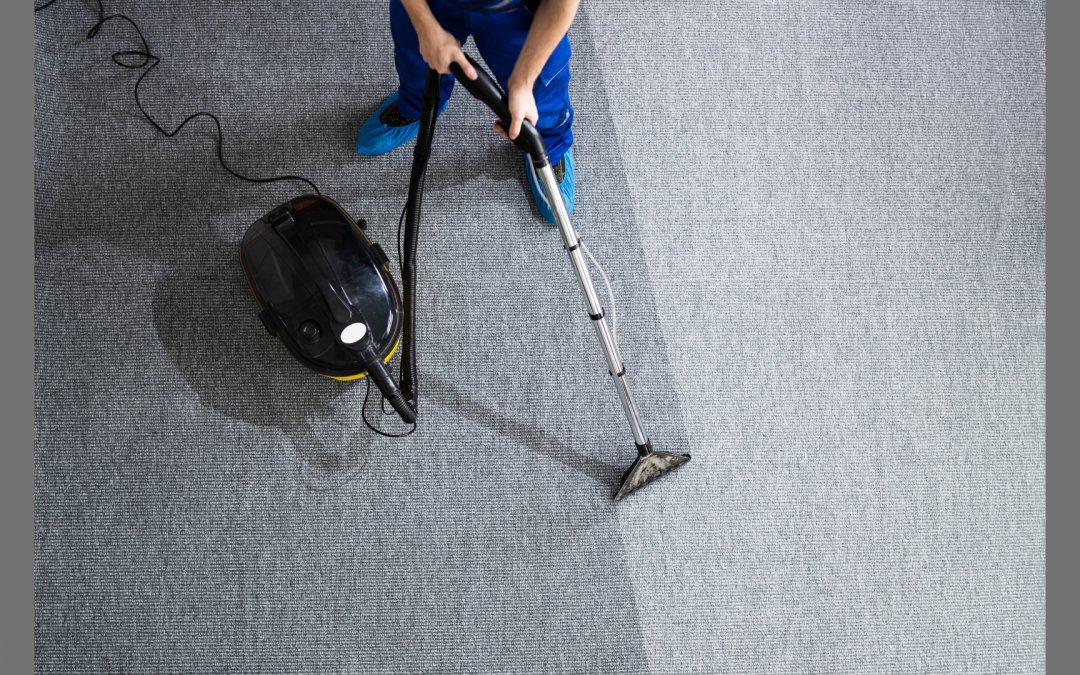 Revitalize Your Space: Unleashing the Power of Professional Carpet Cleaning Services