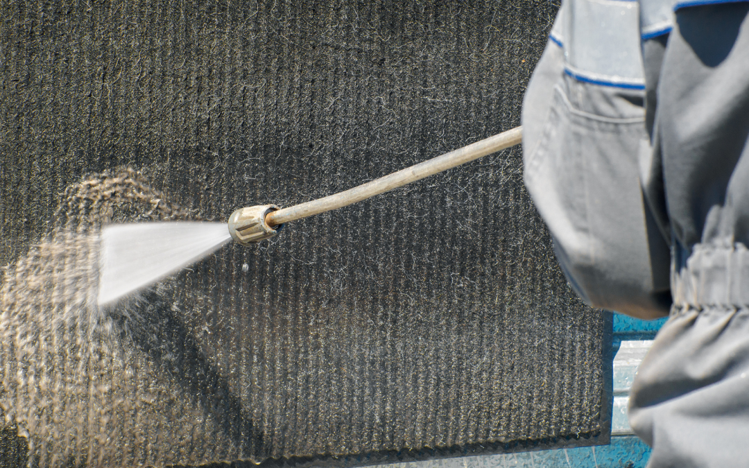 Carpet Luxury: The Art and Science of Professional Carpet Cleaning